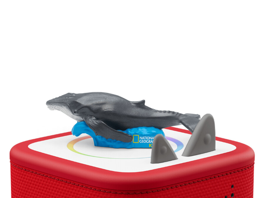 national geographic kids wieloryb tonie