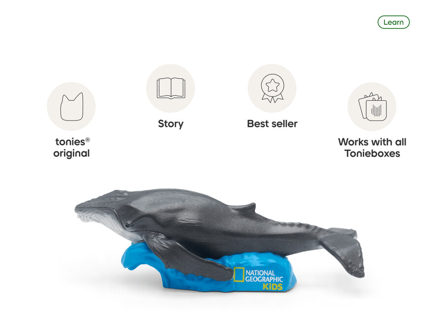 national geographic kids wieloryb tonie