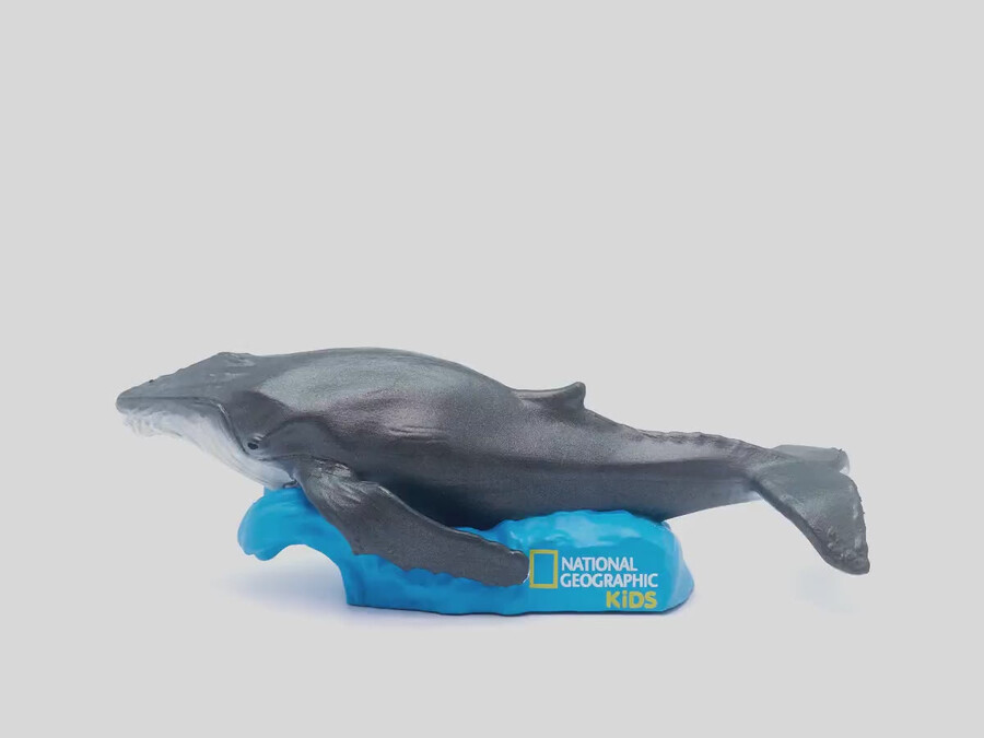 national geographic kids wieloryb tonie