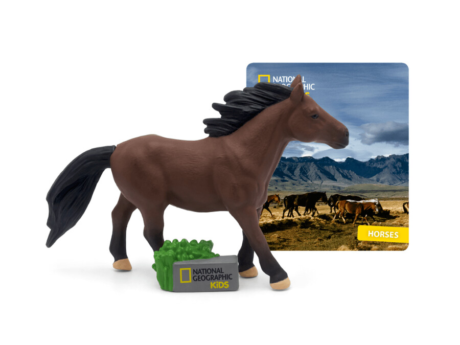 national geographic kids koń tonie