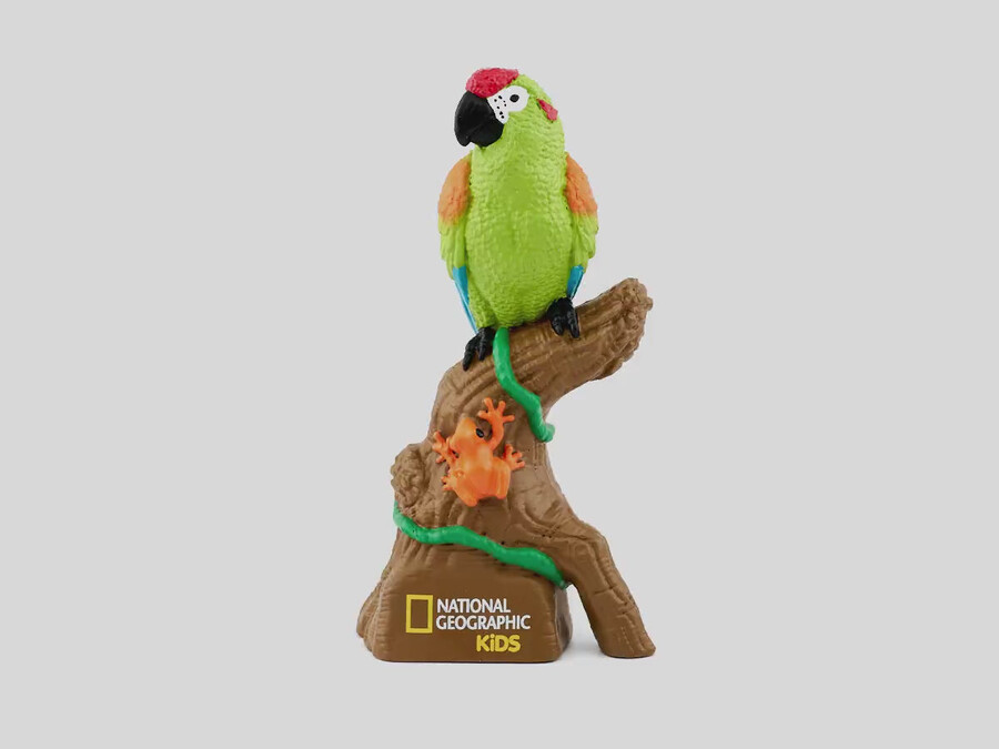 national geographic kids las deszczowy amazonii tonie