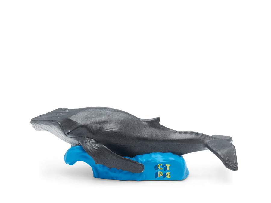 zestaw national geographic kids 7 tonies