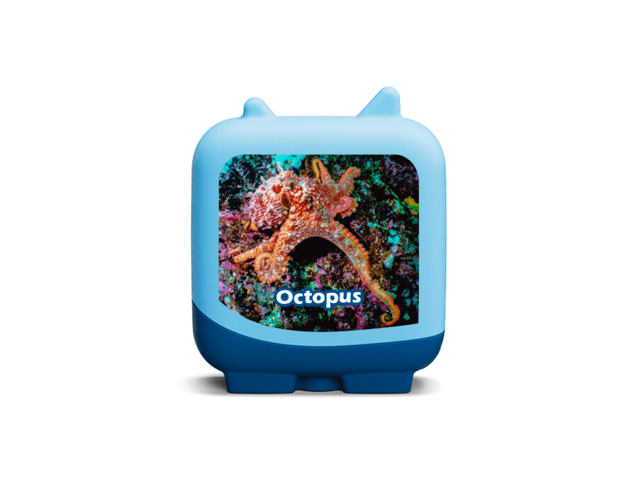 marine life clever tonies - opakowanie 4 sztuk